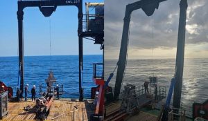 Sakarya Gas Field Upstream Development Project Phase-1 & 2 ESIA Monitoring Survey – September